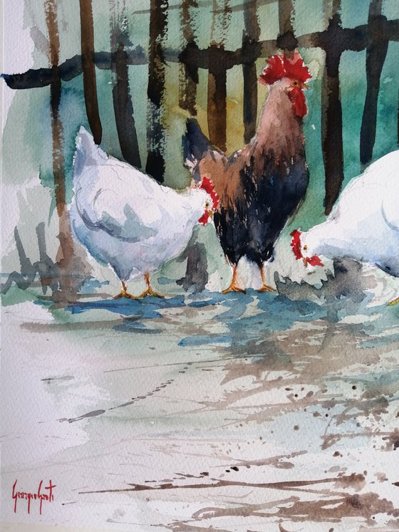 roosters and hens 11