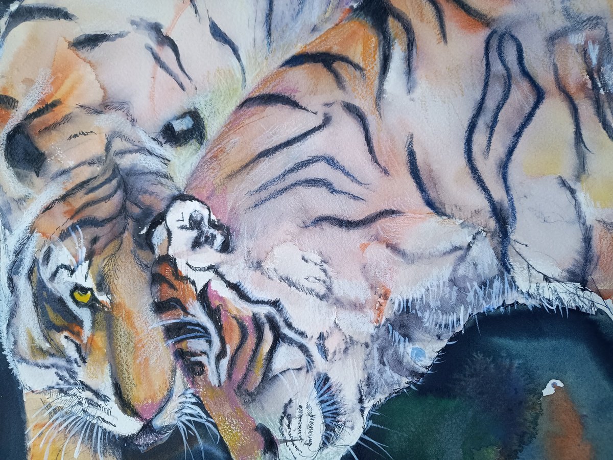 Expressive Animal Watercolour By Marina Del Pozo, 24 X 18", Tigers, Original Artwork
