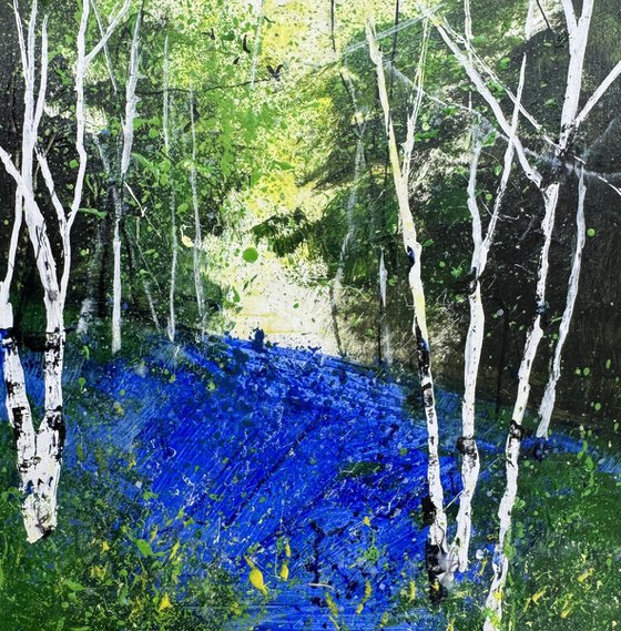 Silver Birches Bluebells