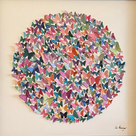 Butterfly circle - study 2