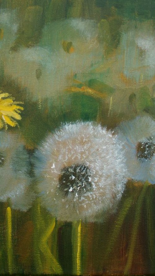 Dandelions2 by Elena Sokolova