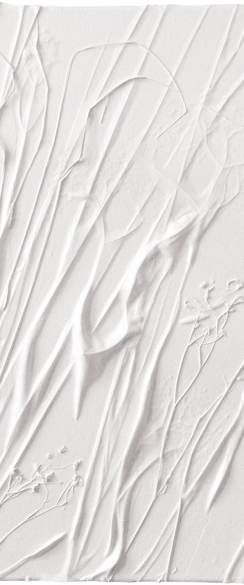 Grasses, white relief by Jolanta Czarnecka