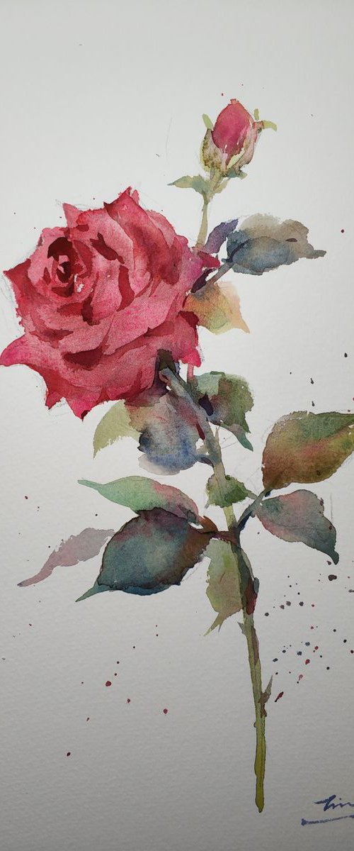 Rose 2 by Jing Chen