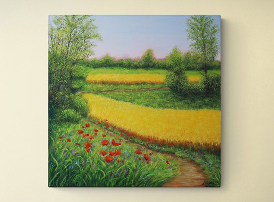 Country landscape with poppy meadow
