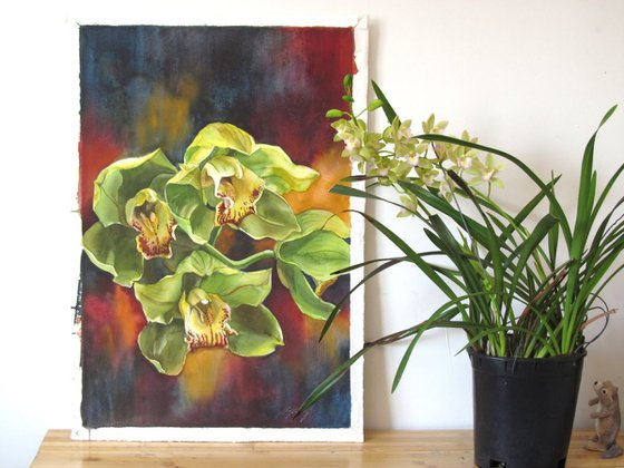 green cymbidium orchid with red