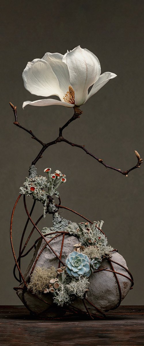 RUSTY ROOTS  - studio edition by Inna Etuvgi