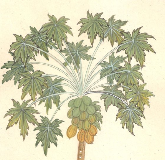 Royal Papaya Tree | Original Miniature Art