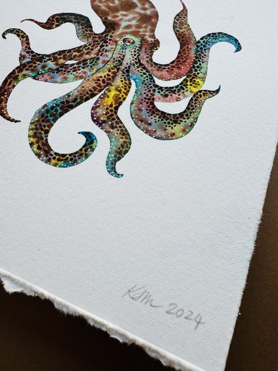 Original Watercolour Octopus