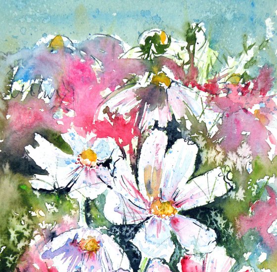 Windflowers