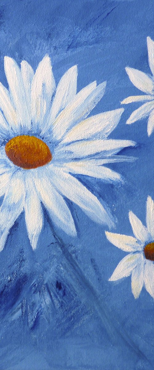 Daisies by Margaret Denholm