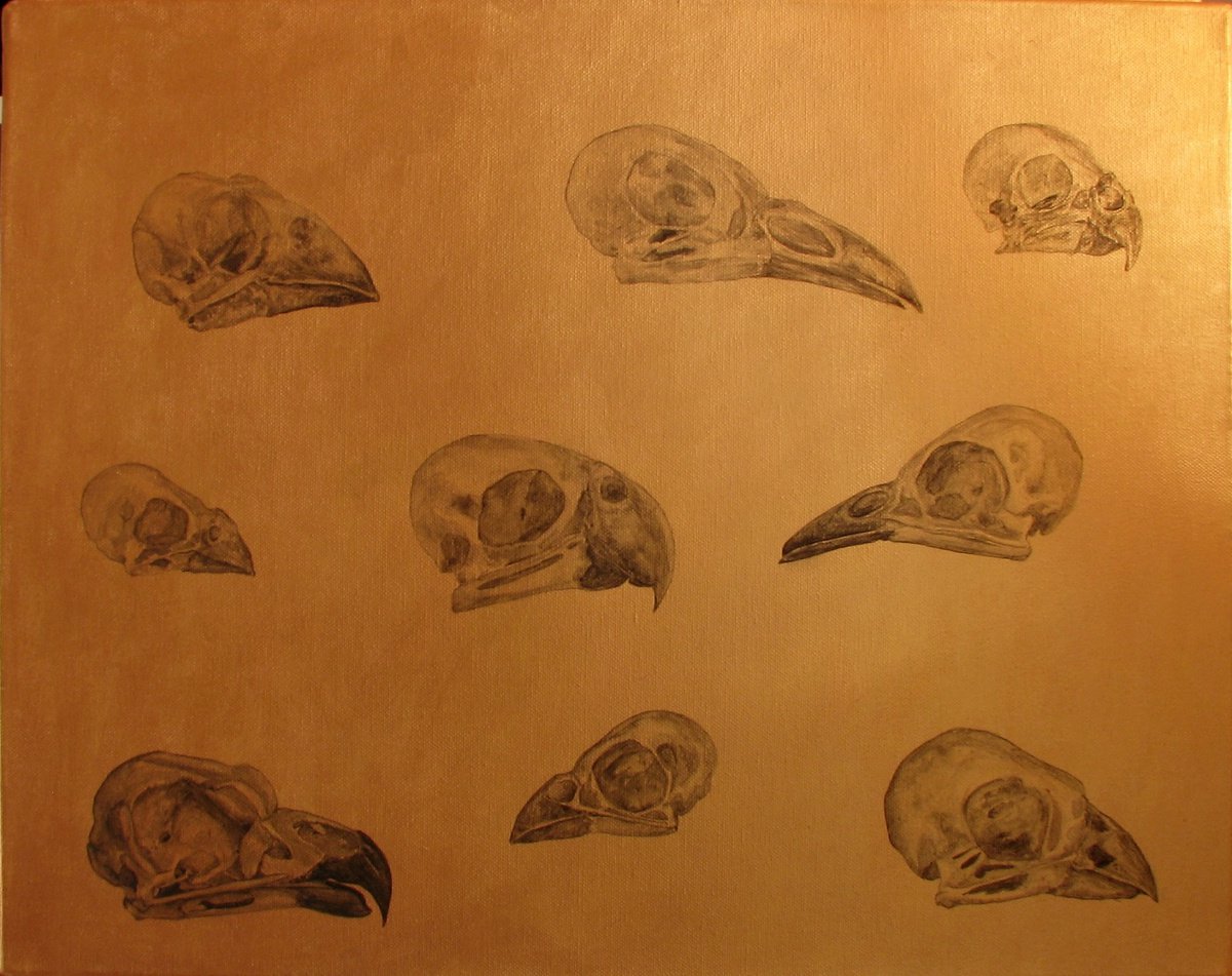 Bird skulls on a golden background by Monika Wawrzyniak