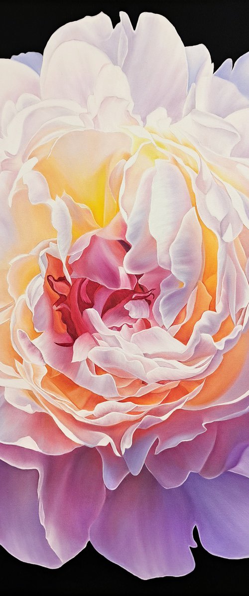 "Sunny peony", floral art by Anna Steshenko