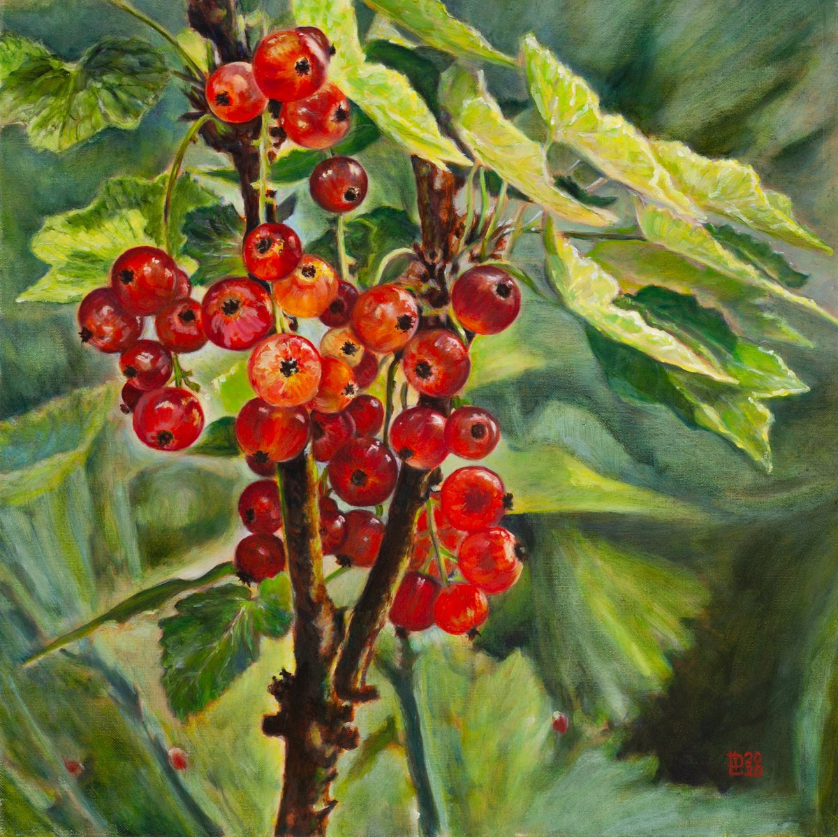 Photorealistic Botanical Oil Painting By Liudmila Pisliakova, 16 X 16", Redcurrants, Original Artwork