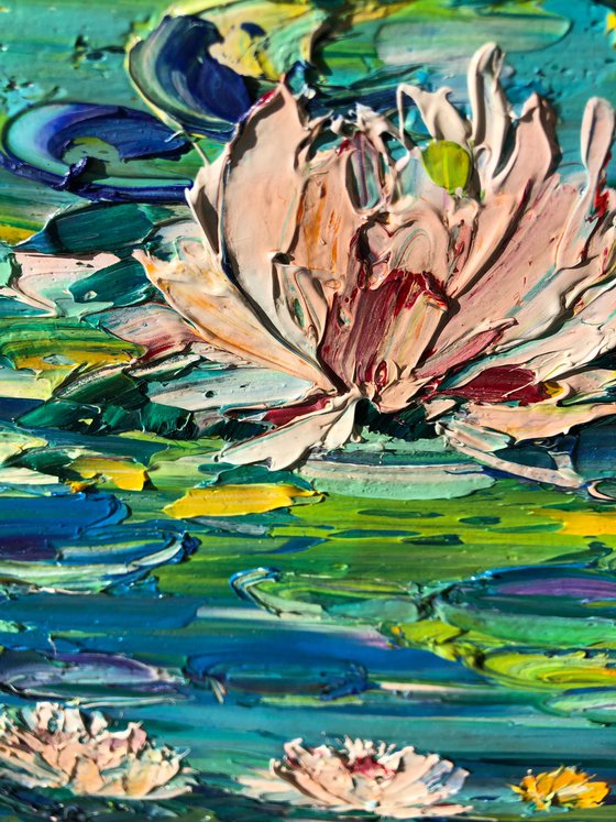 Carefree water lilies