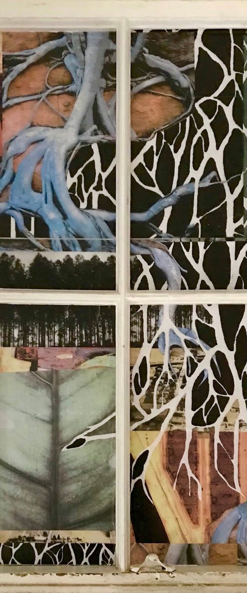 The Blue Root by Kim Triedman