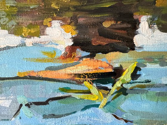 Waterlilies