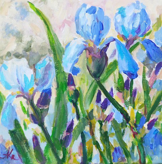 Blue irises