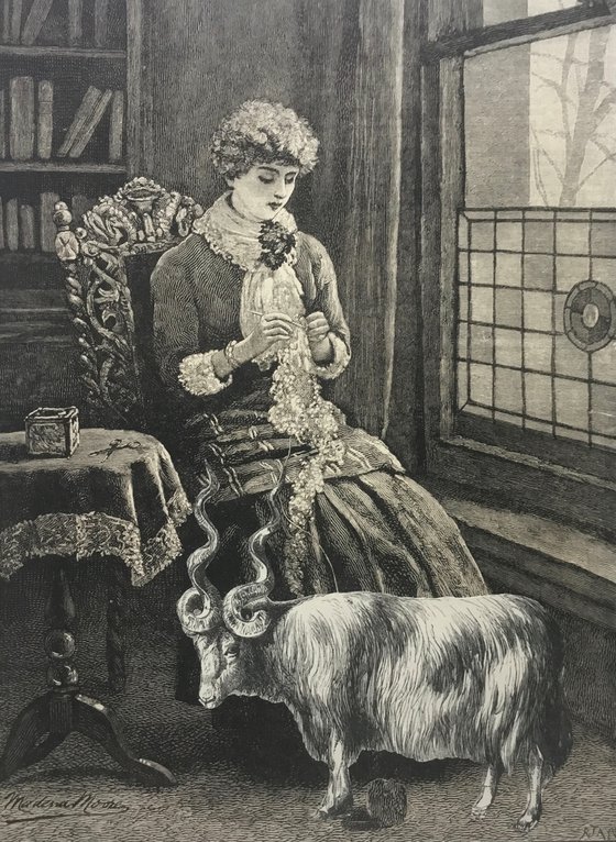 Fresh Wool Knitting