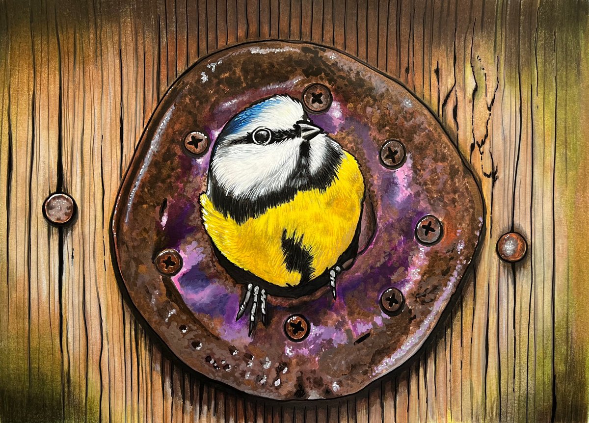 Illustrative Painting , Birdhouse Bluetit By Karen Elaine Evans, 17 X 12, Artwork For Sale On Artfinder