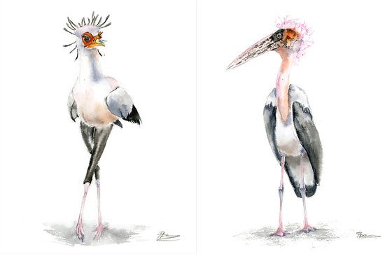 Set of 2 Funny Birds  - Original Watercolor Paintings