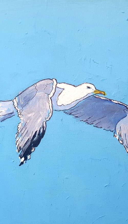 Seagull #12 by Colin Ross Jack