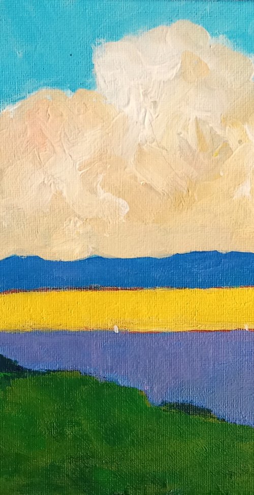 Lavender and Canola by David J Edwards