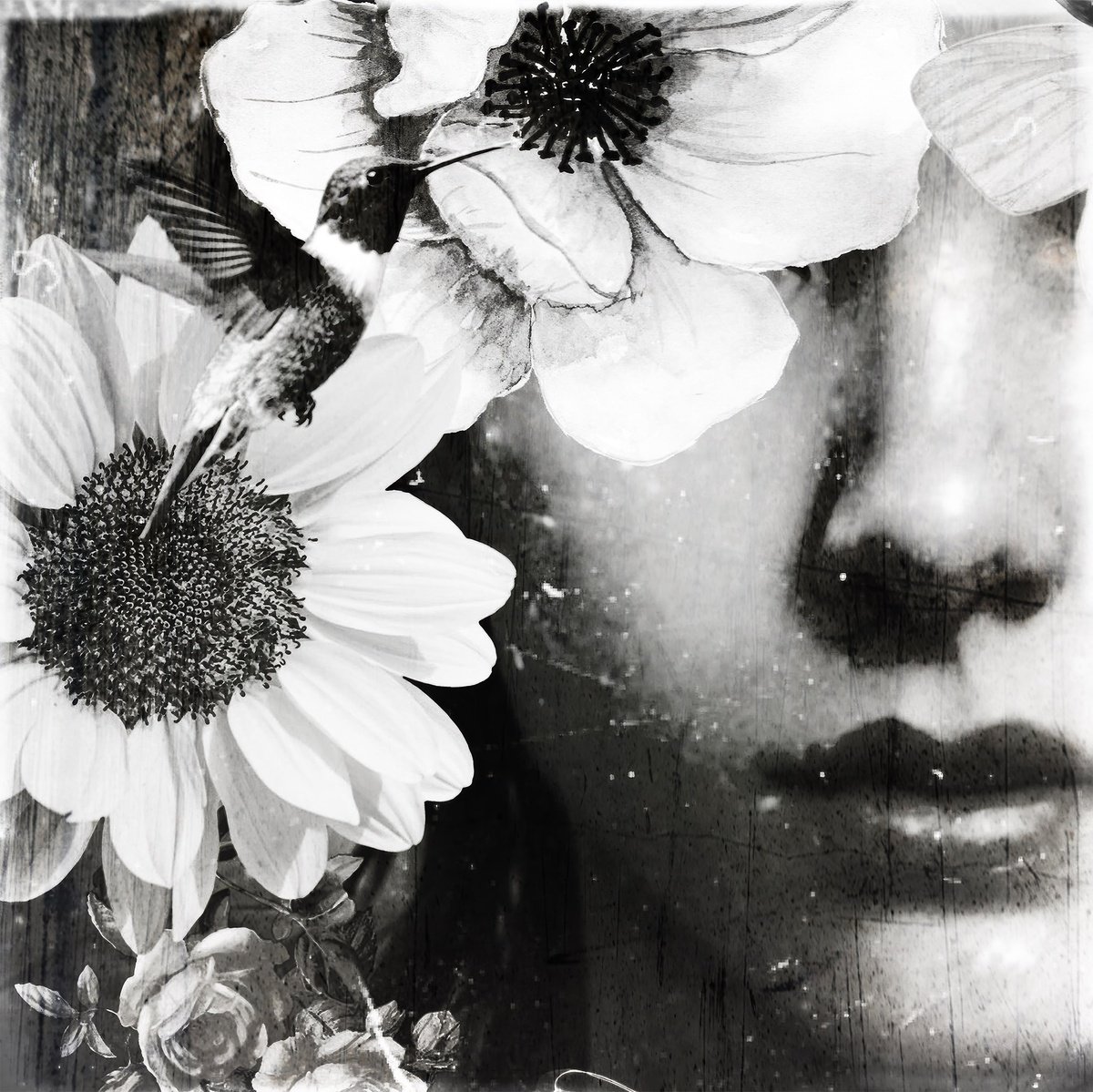Surrealistic Portrait Photograph By Carmelita Iezzi, 24 X 24, Lotus Flower, Original Artwork