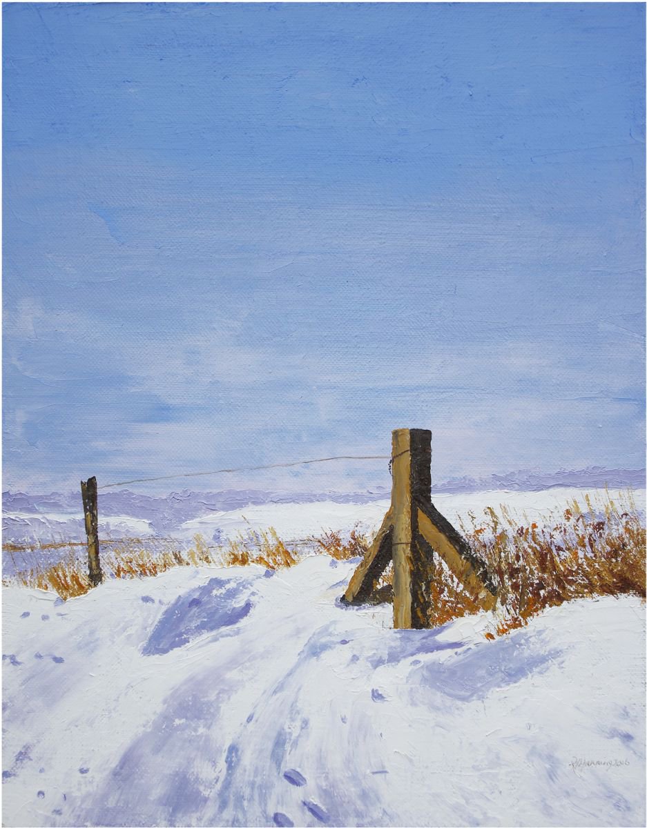 PRINTS IN THE SNOW by Richard Manning