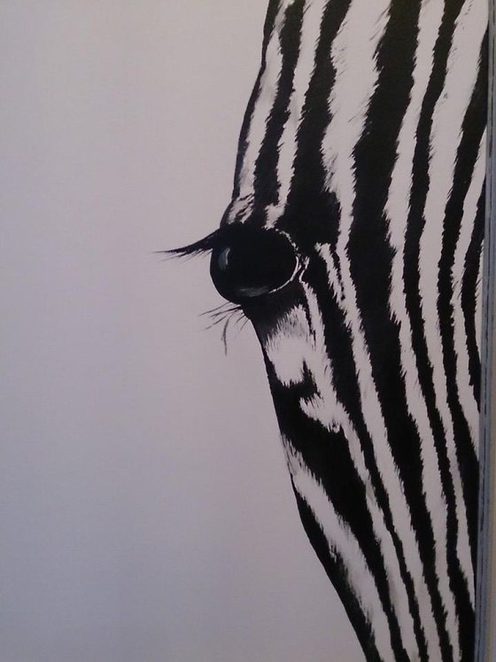 Zebra Eye 3