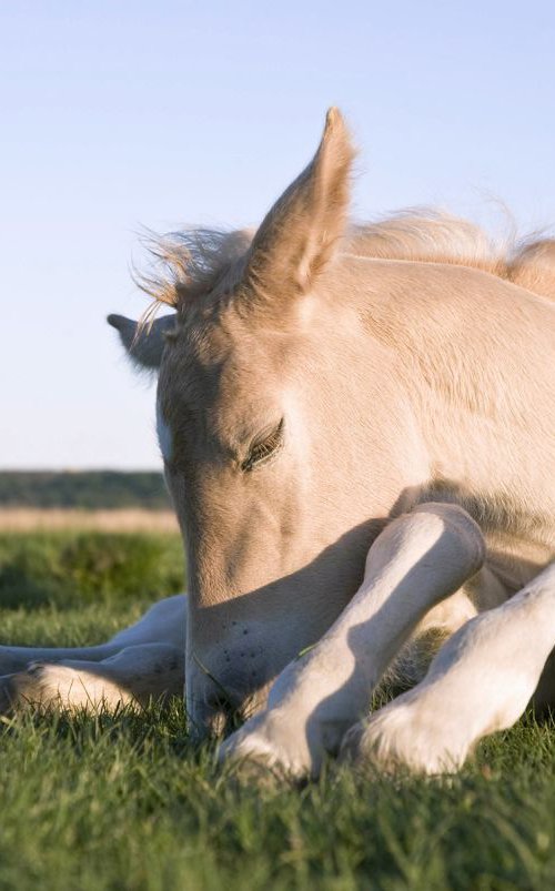 NEWBORN by Andrew Lever