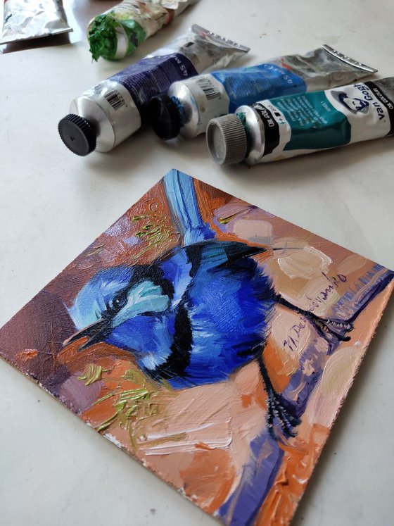 Fairy wren bird art, Small painting of bird in frame, Pocket bird painting, Original blue bird art 4x4