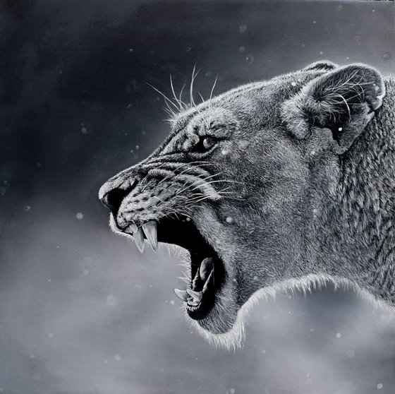 Lioness (LARGE original oil painting on canvas 100 X 100 cm)