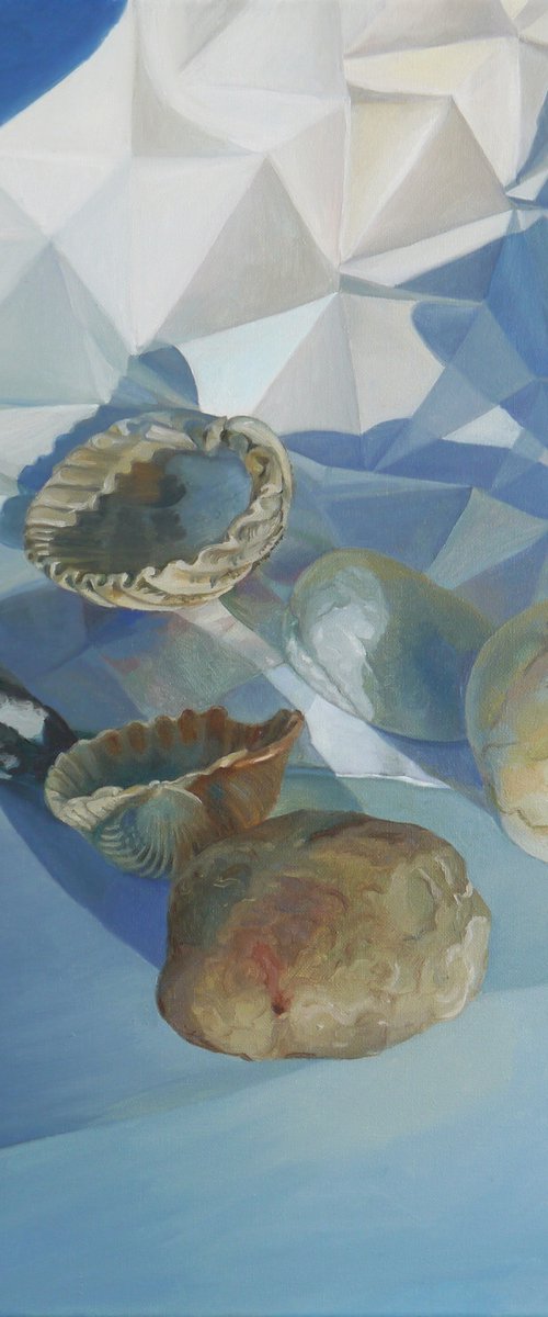 Shapes and Shells II by Anastasia Chernysheva