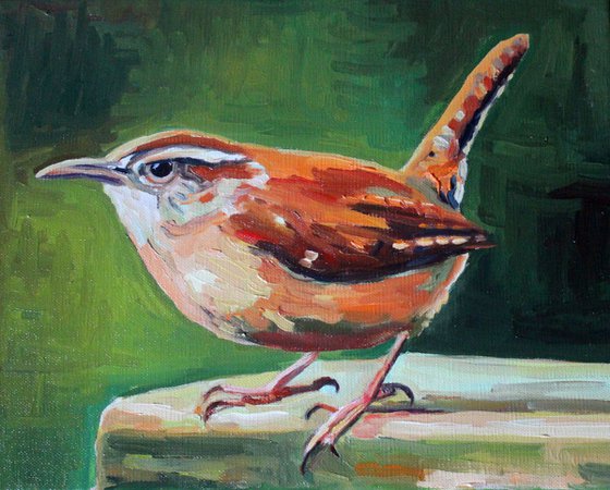 Wise Wren