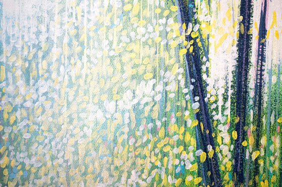 Spring Forest Trees