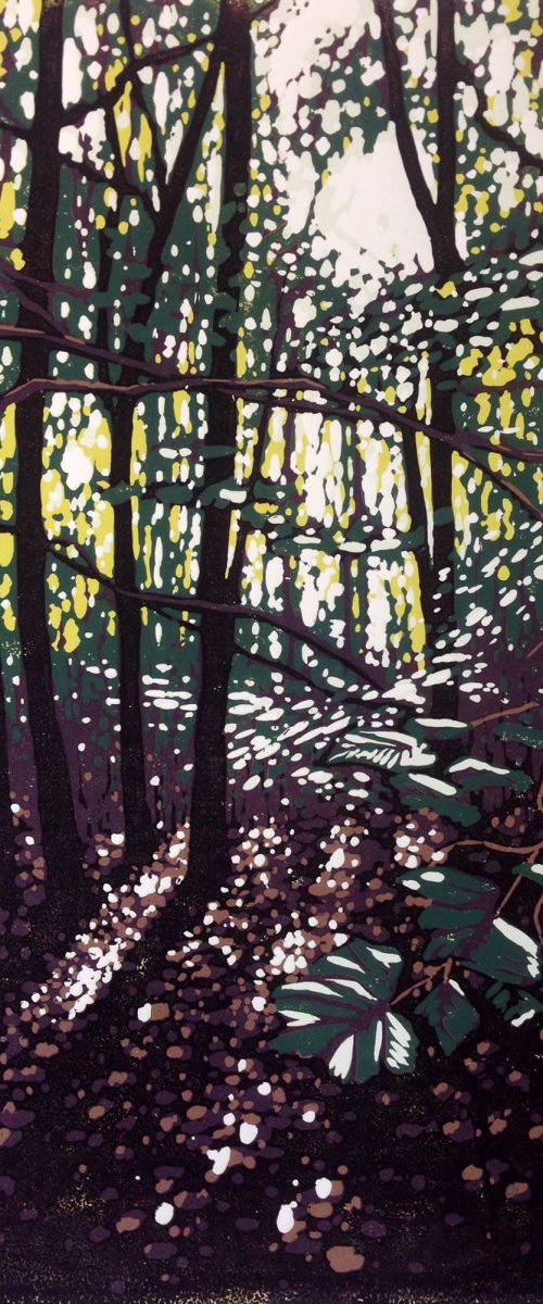 Summer Woodland Glow by Alexandra Buckle