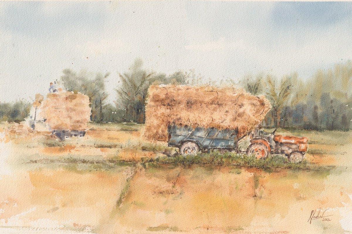 Landscape Watercolour By Hua Le, 22 X 15, Rice Season, Original Artwork