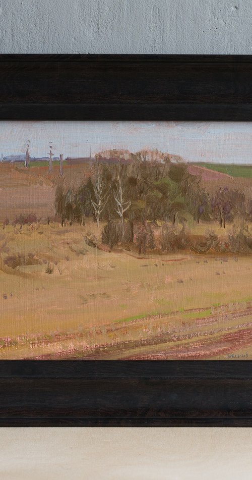 Spring Fields by Alexey Pleshkov