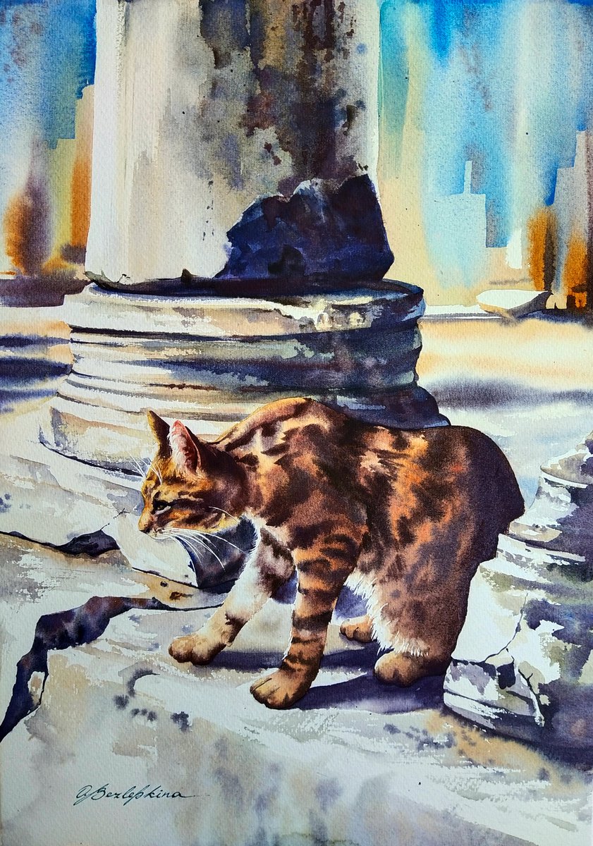 Ephesus cat #3 by Olga Bezlepkina