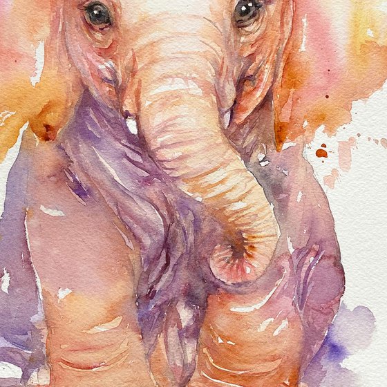 Deliah_Baby Elephant