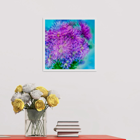 Abstract Flowers #3. Limited Edition 1/25 12x12 inch Photographic Print.