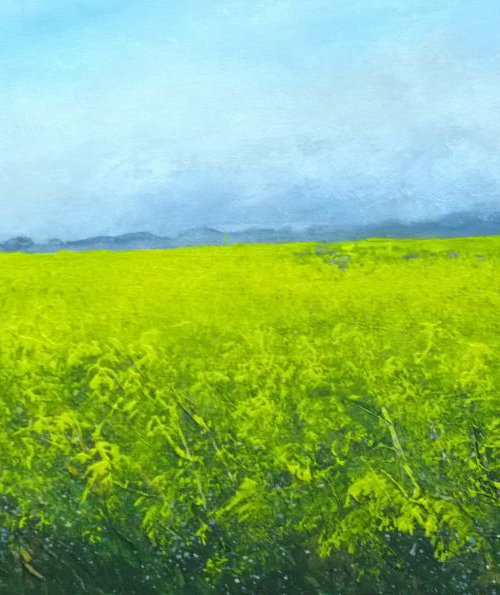 "SEA OF YELLOW" by Colin Buckham