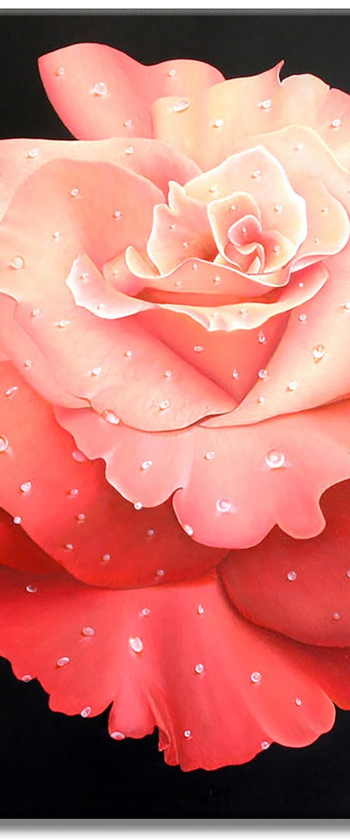 Le Rose by Gardani Art