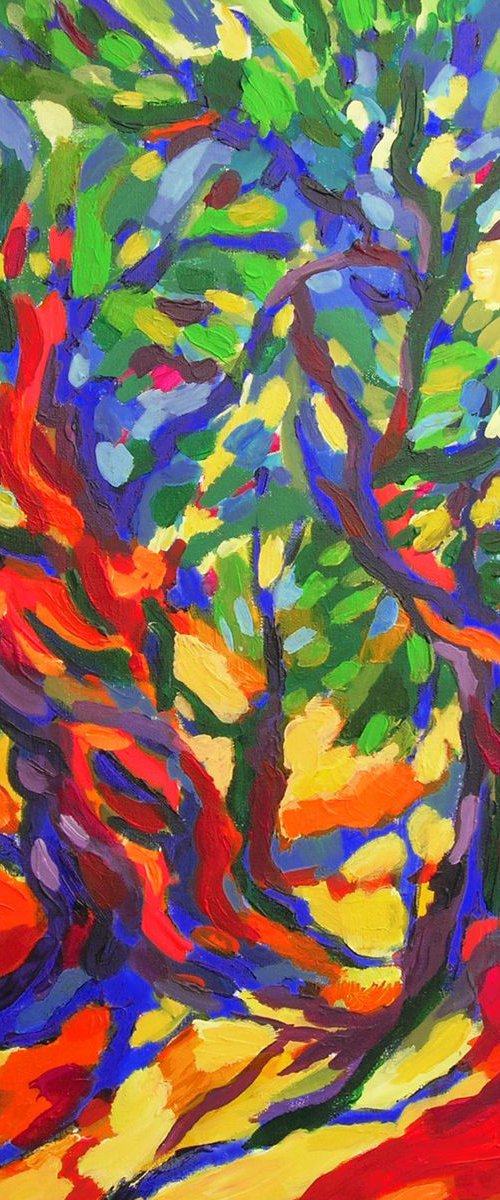 Summer olive garden by Maja Grecic