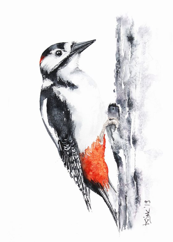 Great woodpecker II, wildlife, birds and animals