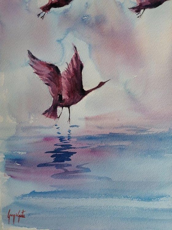 flying birds