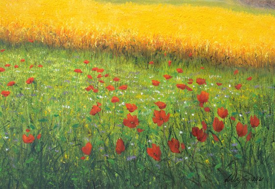 Wheat field in summer