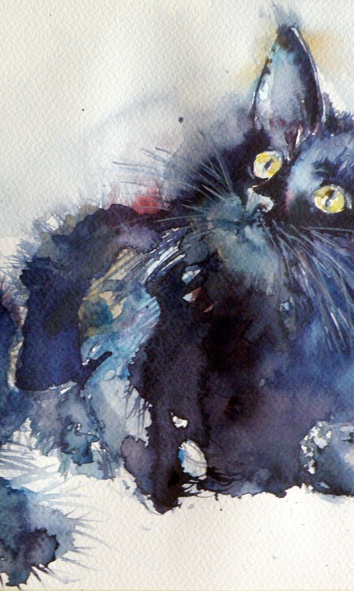 Cat by Kovács Anna Brigitta