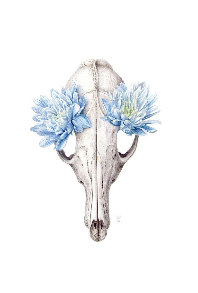 Photorealistic Still Life Watercolour By Yuliia Moiseieva, 15 X 22", Skull And Flowers, Original Artwork