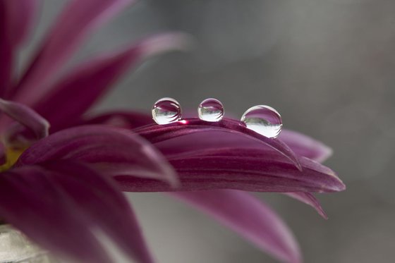 Reflection in drops
